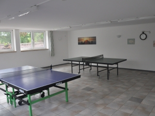 Tischtennisplatten