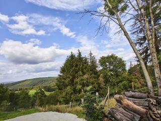 Ausblick