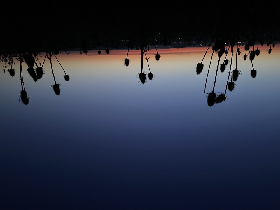 Himmelsvorschau f&uuml;r M&auml;rz 2026