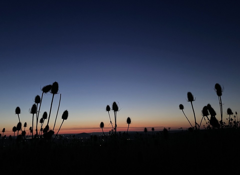 Himmelsvorschau f&uuml;r M&auml;rz 2026