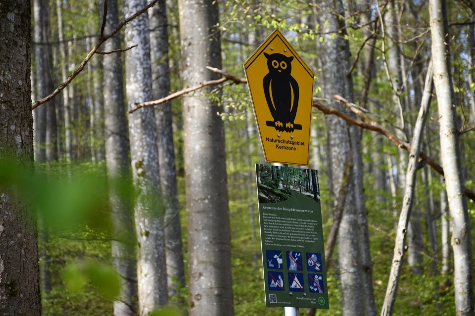 Länderübergreifender Kernzonentag im UNESCO-Biosphärenreservat Rhön am 16. Mai 2025