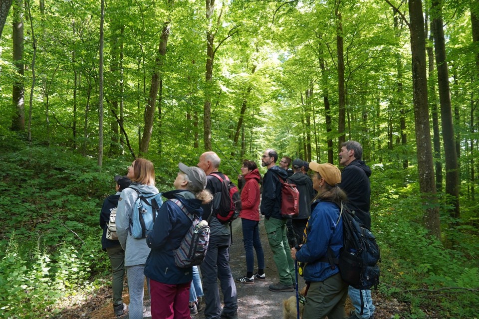 Rh&ouml;ner Wildnis erleben! L&auml;nder&uuml;bergreifender Kernzonentag im UNESCO-Biosph&auml;renreservat Rh&ouml;n am 24. April 2026
