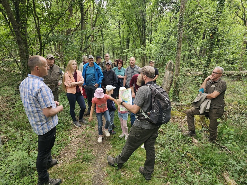 Länderübergreifender Kernzonentag im UNESCO-Biosphärenreservat Rhön – Faszinierende Einblicke in wilde Natur und wertvolle Lebensräume